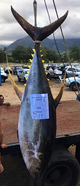 The 219-pound ahi hanging at the 2017 Hana Paʻa weigh-in with its weight recorded on the tag